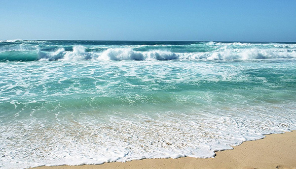 海洋環境 海洋環境